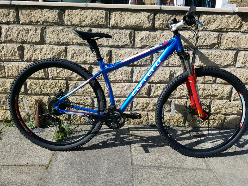 carrera sulcata ltd edition 29
